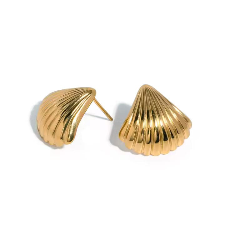 Gouden Schelpen knopjes Gouden Schelpen knopjes