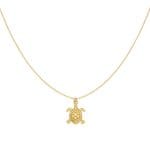 Ketting met schildpad