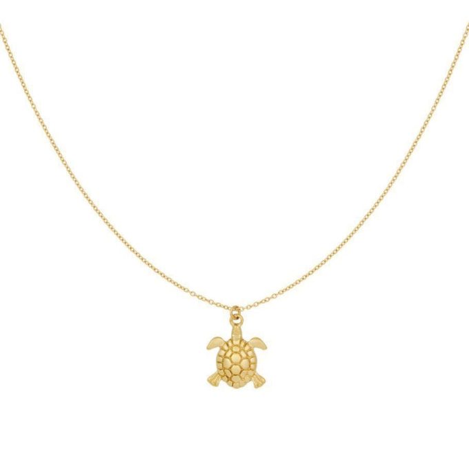 Ketting met schildpad