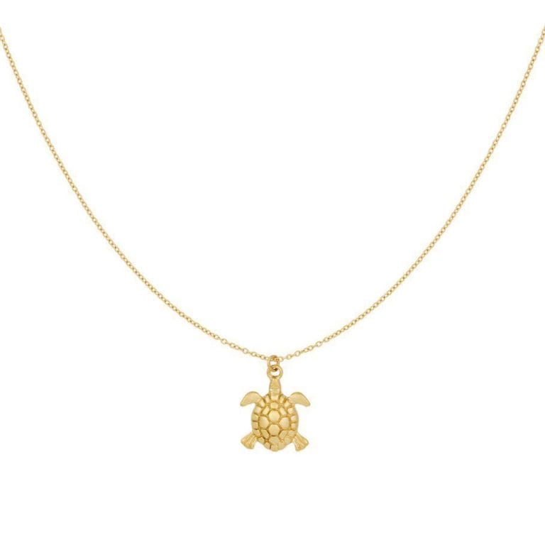 Ketting met schildpad