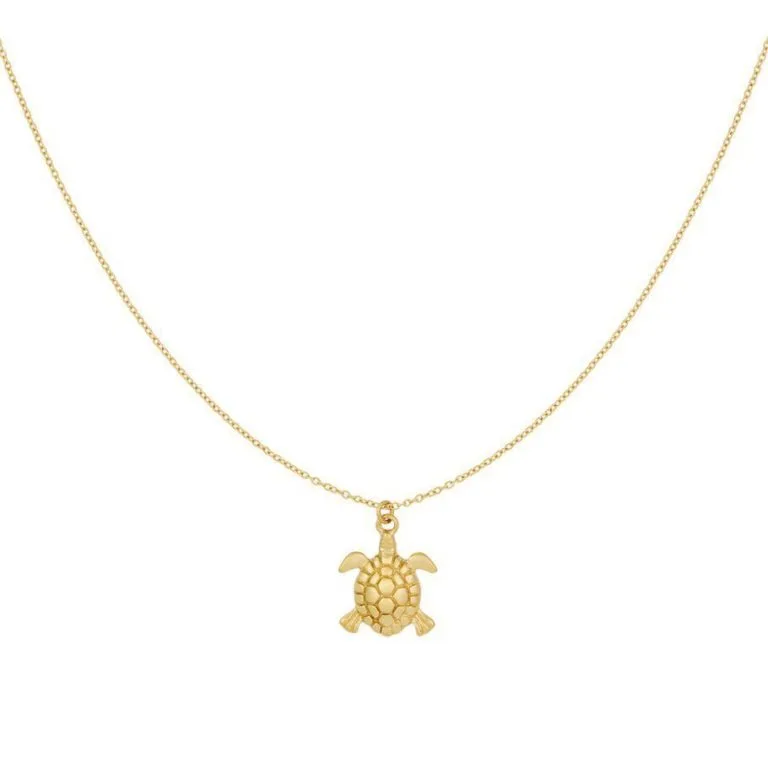Ketting met schildpad