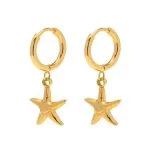 Oorbellen met zeester