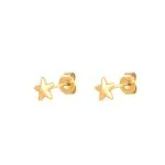 Oorknopjes Ster Goud