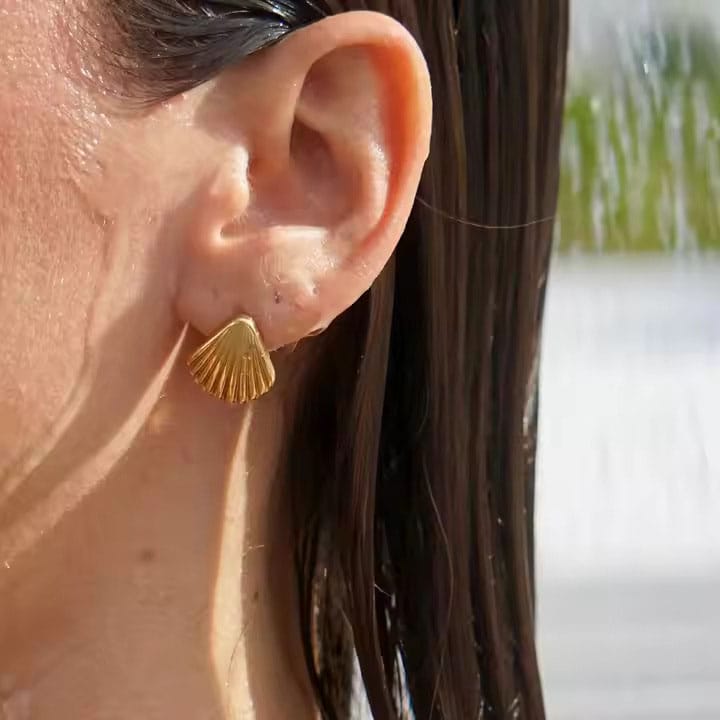 Schelpen knopjes Schelpen knopjes