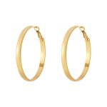 Hoop oorbellen 5 cm
