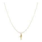 Lange ketting met vis
