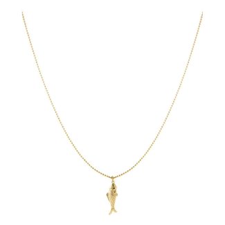 Lange ketting met vis