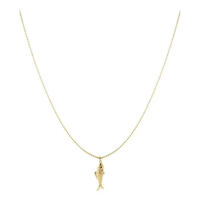 Lange ketting met vis