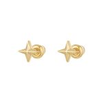 Gouden oorknopjes ster
