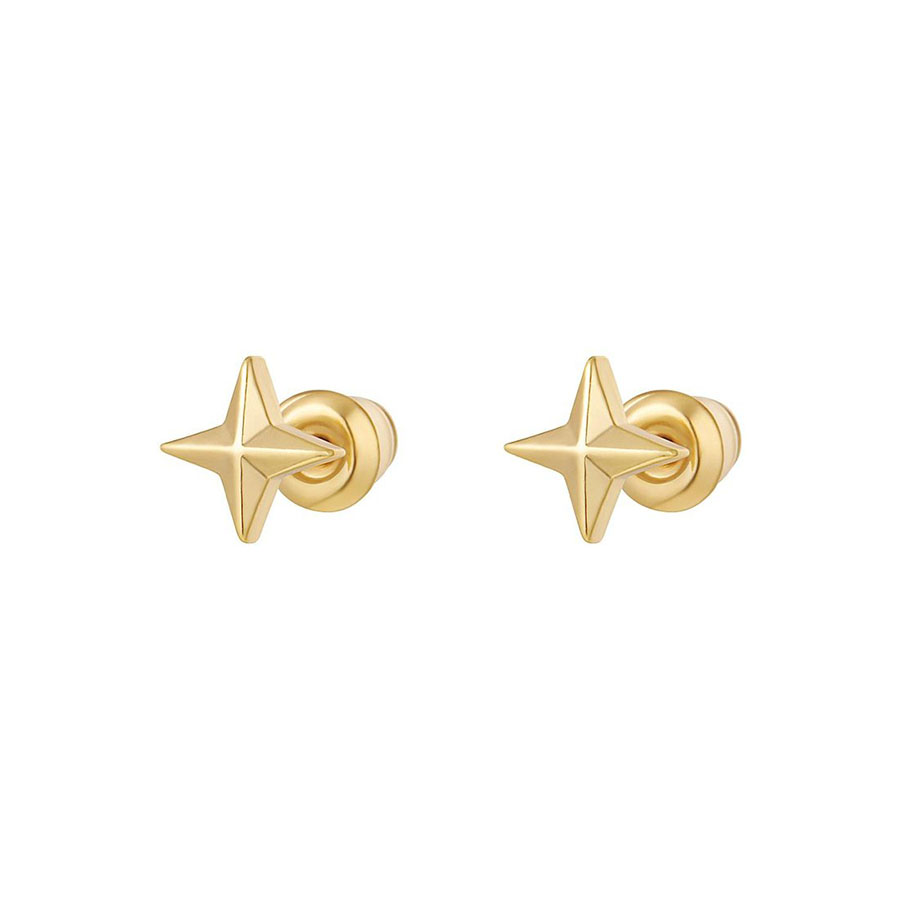 Gouden oorknopjes ster Gouden oorknopjes ster