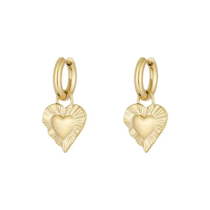 Oorbel met hartje Give me Love