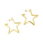 Super Star Oorbellen